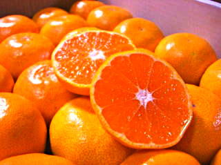 オレンジは季節によってバレンシアオレンジ、ネーブルオレンジと種類は変わりますが、一年中取り扱っています。